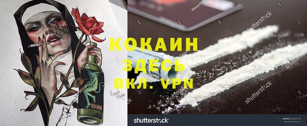 сатива Мегион