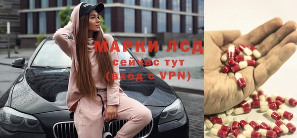 сатива Мегион