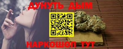 альфа пвп Заводоуковск