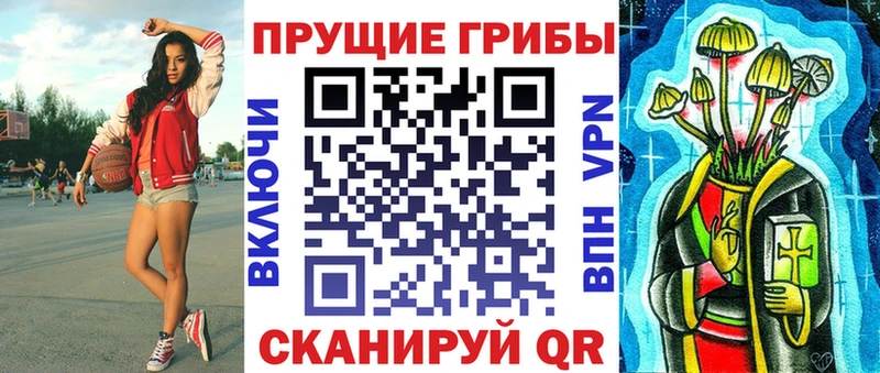 Галлюциногенные грибы Psilocybe  где купить наркоту  Заринск 