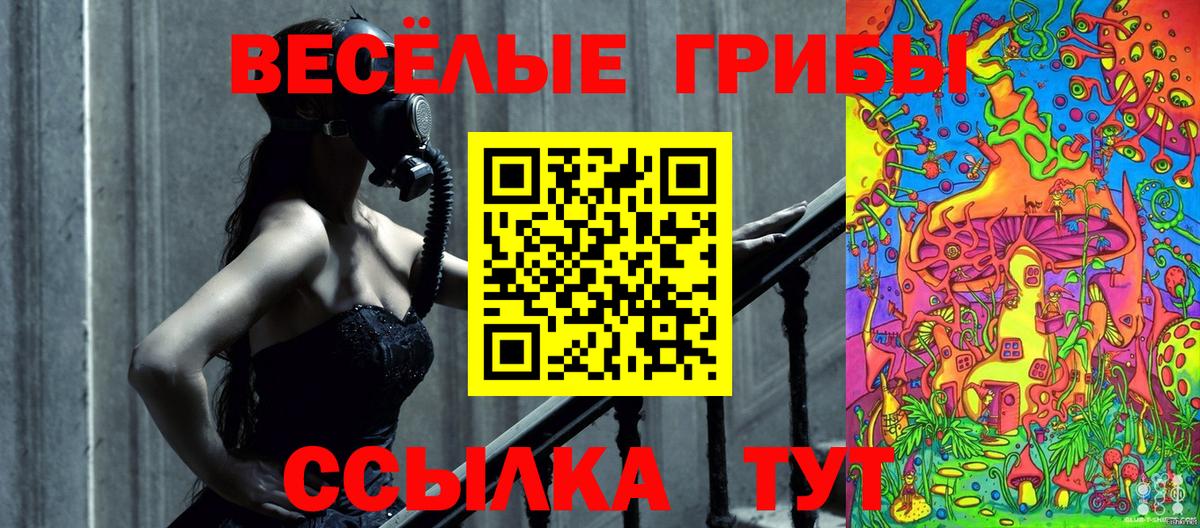 Псилоцибиновые грибы мицелий  что такое   Заринск  Галлюциногенные грибы MAGIC MUSHROOMS 