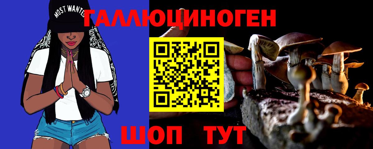 Псилоцибиновые грибы Psilocybine cubensis Заринск