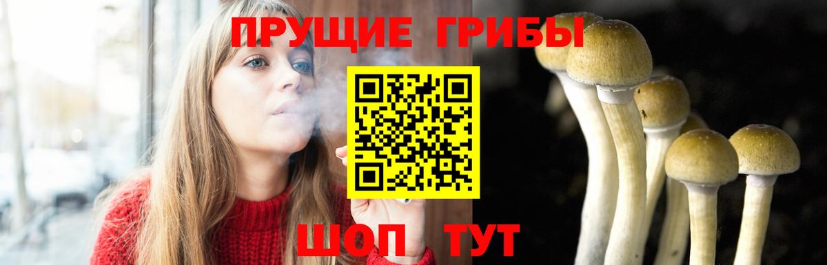 Галлюциногенные грибы мухоморы  Вход с VPN  Заринск 